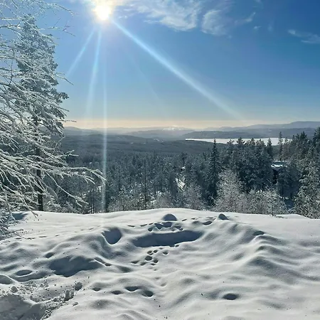 With Games And Views Of Follsja *