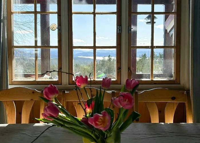 With Games And Views Of Follsja Casa vacanze Notodden