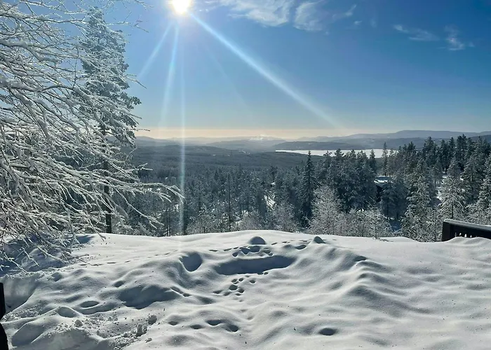 With Games And Views Of Follsja *